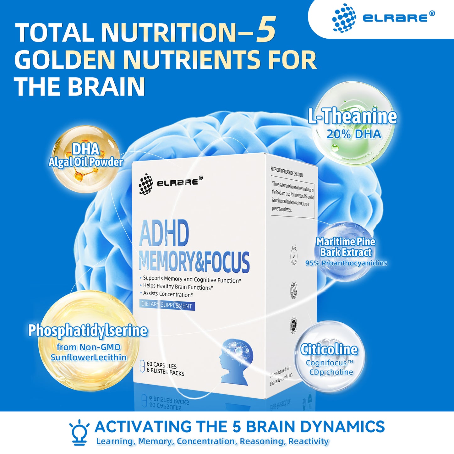 Brain Supplements for Memory,Focus& Cognitive Function,PhosphatidylSerine 300mg,L-Theanine,DHA Algae Oil Powder and 95% Proanthocyanidins,Non-GMO,60 Capsules